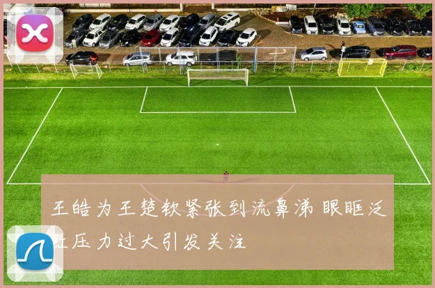 王皓为王楚钦紧张到流鼻涕 眼眶泛红压力过大引发关注