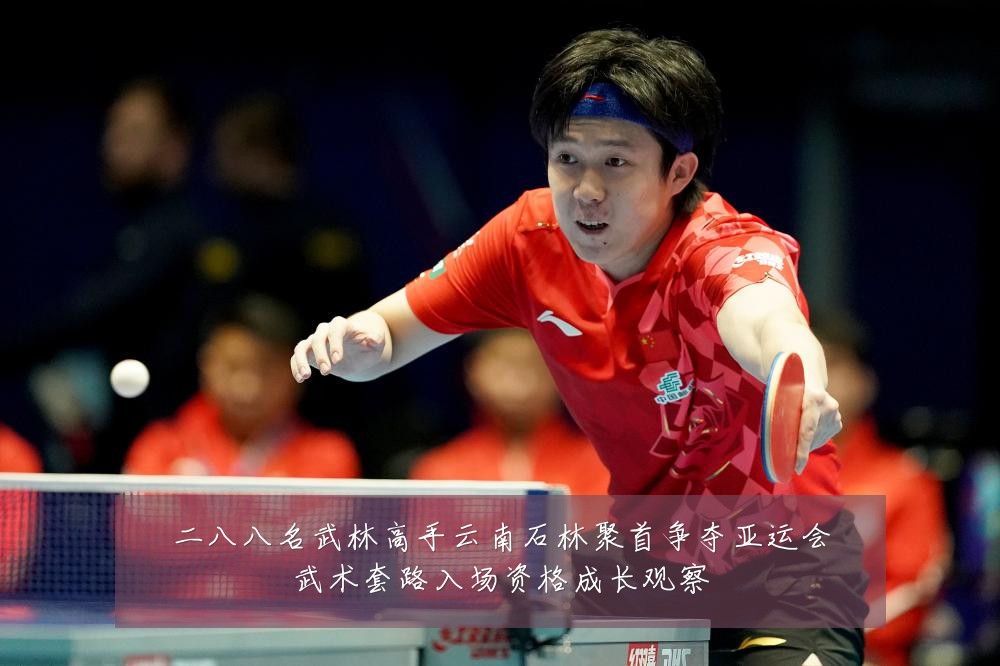 二八八名武林高手云南石林聚首争夺亚运会武术套路入场资格成长观察
